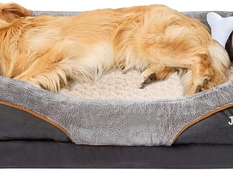 JOYELF, Cuccia ortopedica per cani in memory foam con copertura rimovibile e lavabile, con giocattolo con sonaglio