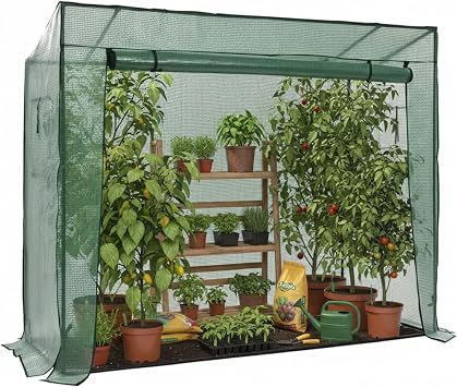 Baroni Home Serra da Giardino con Copertura in PVC Trasparente, Telaio in Acciaio Resistente, Porta Avvolgibile con Cerniera, Protezione da Pioggia, Vento e Uccelli (Senza ripiani)