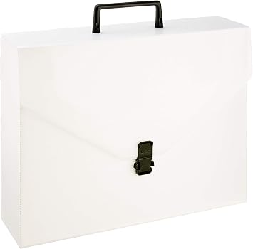 Fellowes M298 Valigetta in Polionda, 29×39 cm, Dorso 10 cm