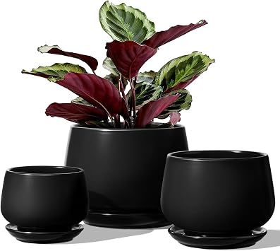 LE TAUCI Set Di 3 Vaso Per Piante In Ceramica, 10+13+16 cm Vaso per Piante da Interno Con Foro Di Drenaggio E Piattino, Vaso Da Fiori Per Interni Con Foro In Rete, Regalo Per Mamma, Nero
