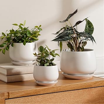 LE TAUCI Set Di 3 Vaso Per Piante In Ceramica, 10+13+16 cm Vaso per Piante da Interno Con Foro Di Drenaggio E Piattino, Vaso Da Fiori Per Interni Con Foro In Rete, Regalo Per Mamma, Bianco