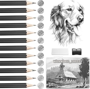 Wonwood_direct Set di 14 Matite da Disegno, Set Professionale di Matite da Disegno con Temperino e Gomma per Artisti, Adulti, Dello Schizzo