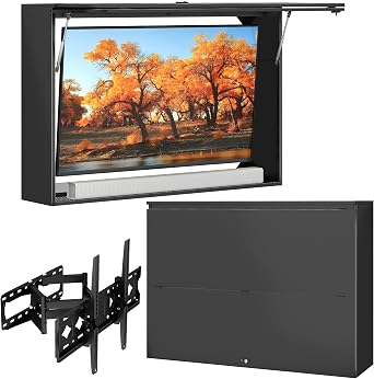 TinFrey Custodia TV da esterno impermeabile, box protettiva TV con chiusura per televisori 44–55 pollici, protezione antifurto impermeabile per uso esterno, balcone e terrazza con supporto a parete
